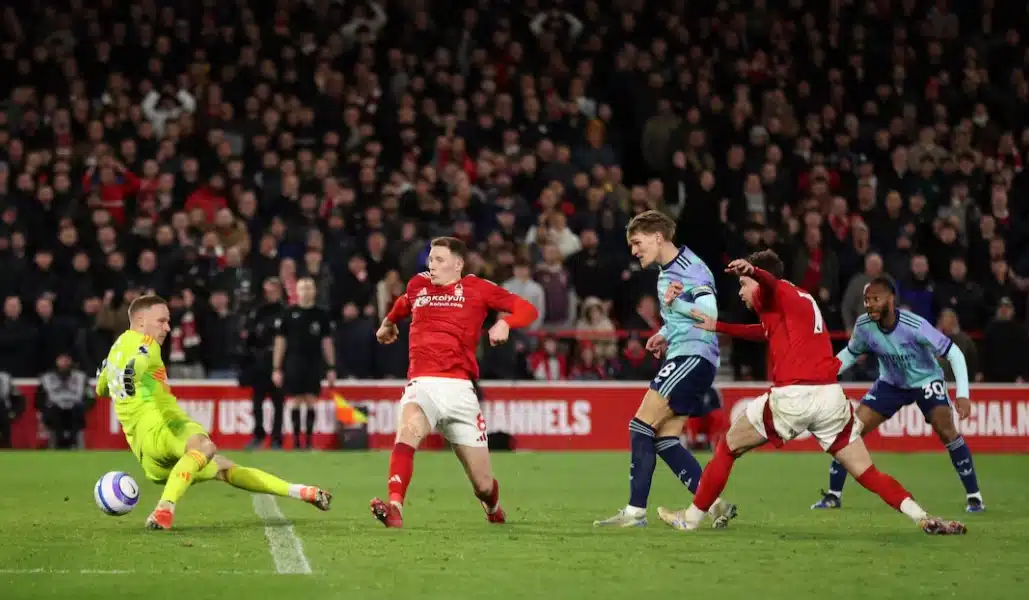 青训新星的希望之光